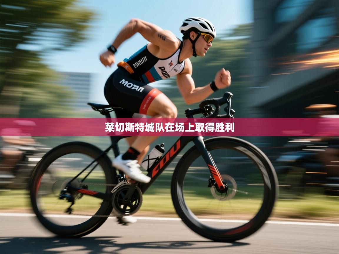 开云体育入口-莱切斯特城队在场上取得胜利