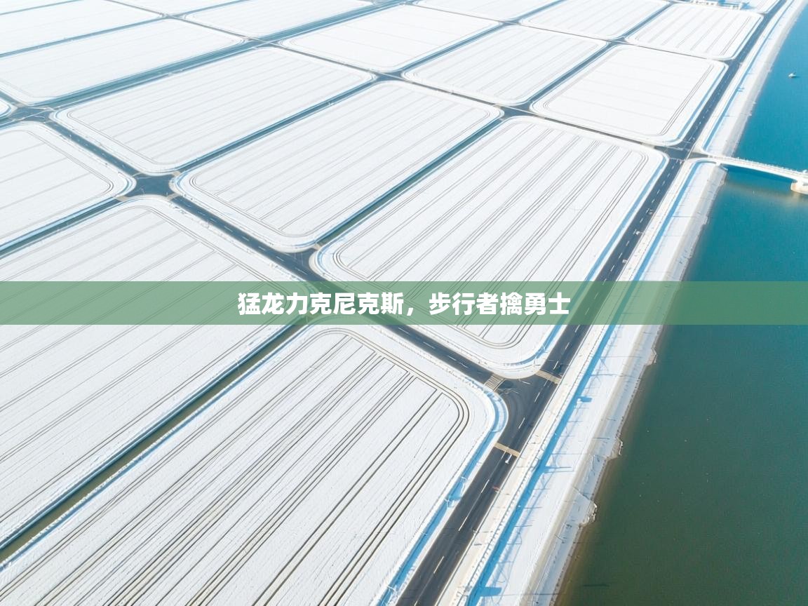 开云体育入口客服-猛龙力克尼克斯,步行者擒勇士 第1张