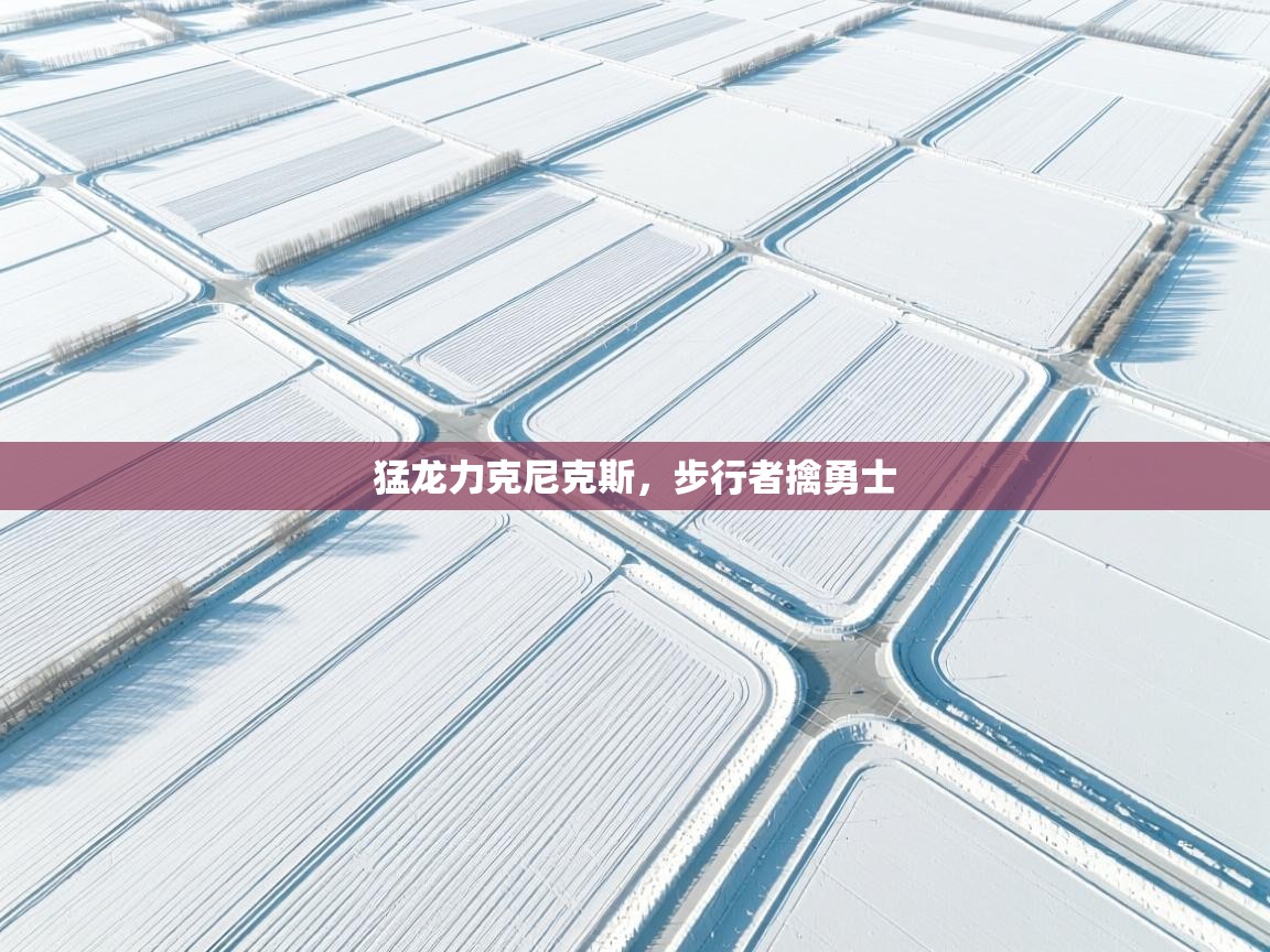 开云体育入口客服-猛龙力克尼克斯,步行者擒勇士 第3张