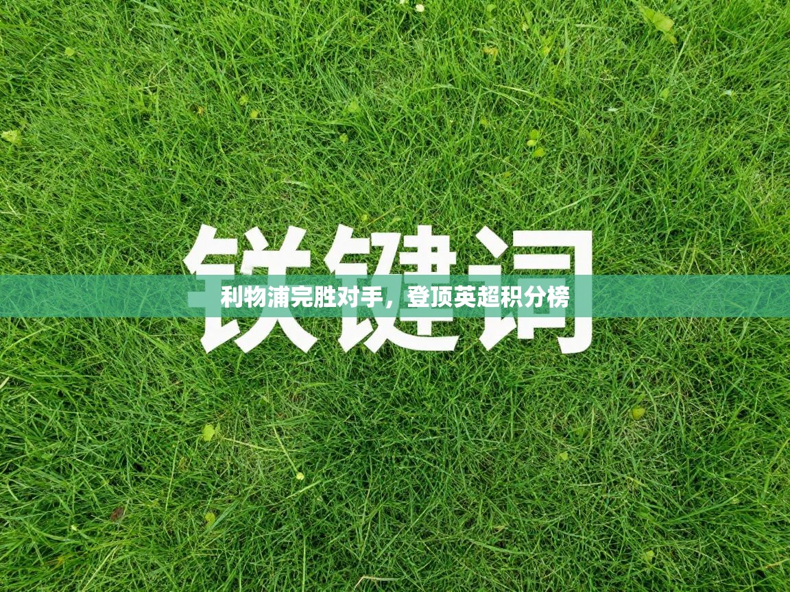 开云体育app安装-利物浦完胜对手，登顶英超积分榜  第2张