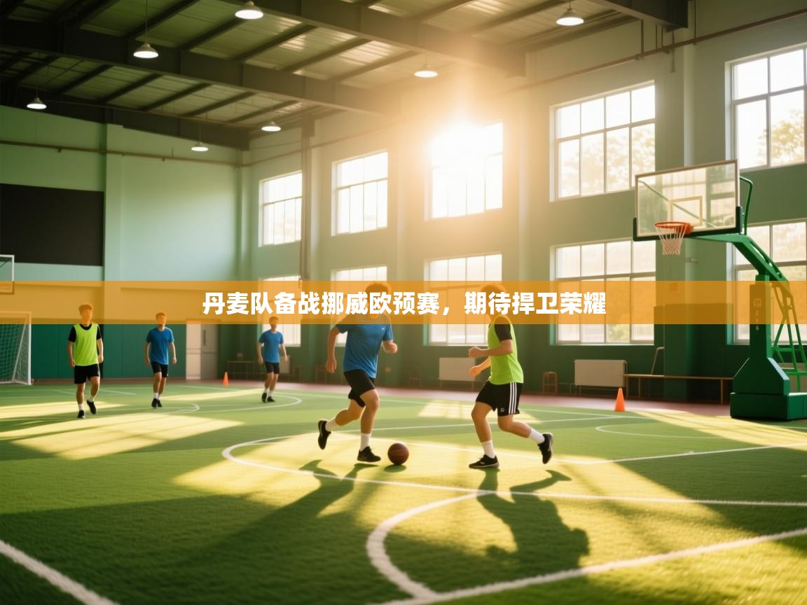 开云体育入口平台-丹麦队备战挪威欧预赛，期待捍卫荣耀  第3张