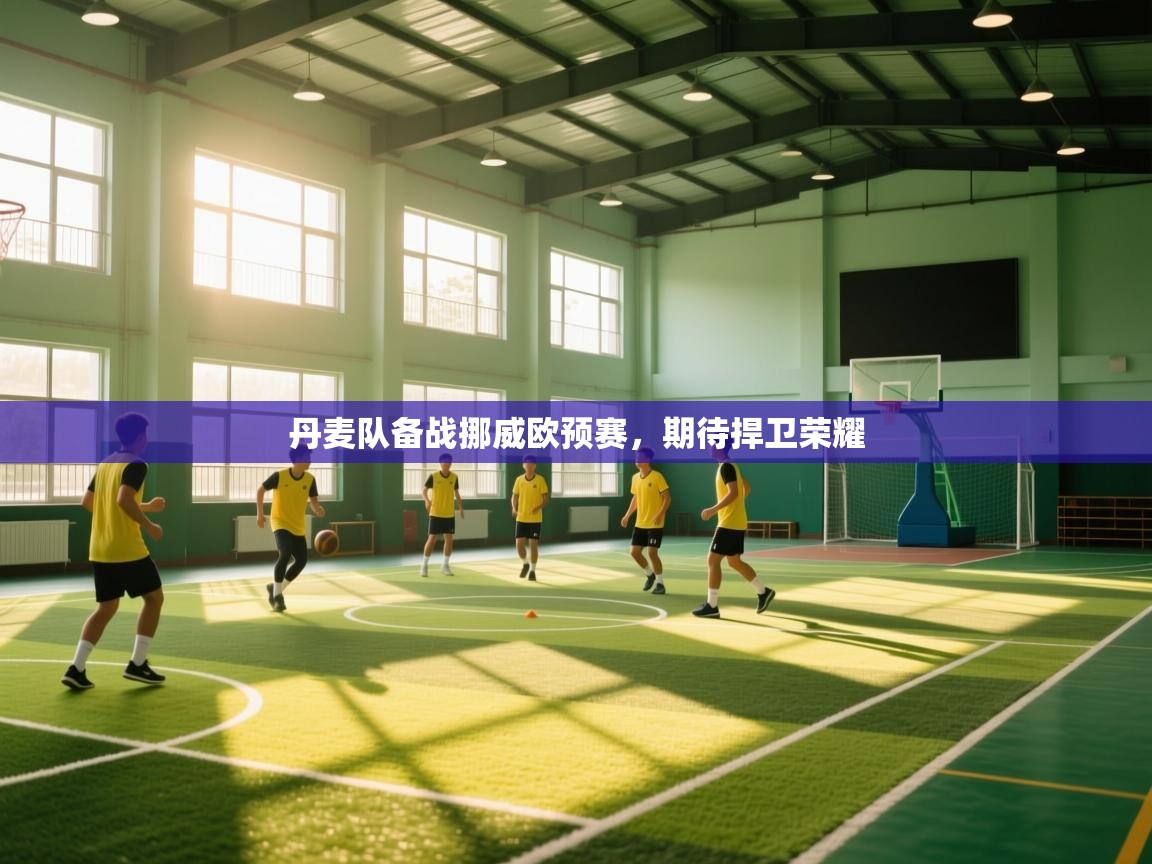 开云体育入口平台-丹麦队备战挪威欧预赛，期待捍卫荣耀  第2张