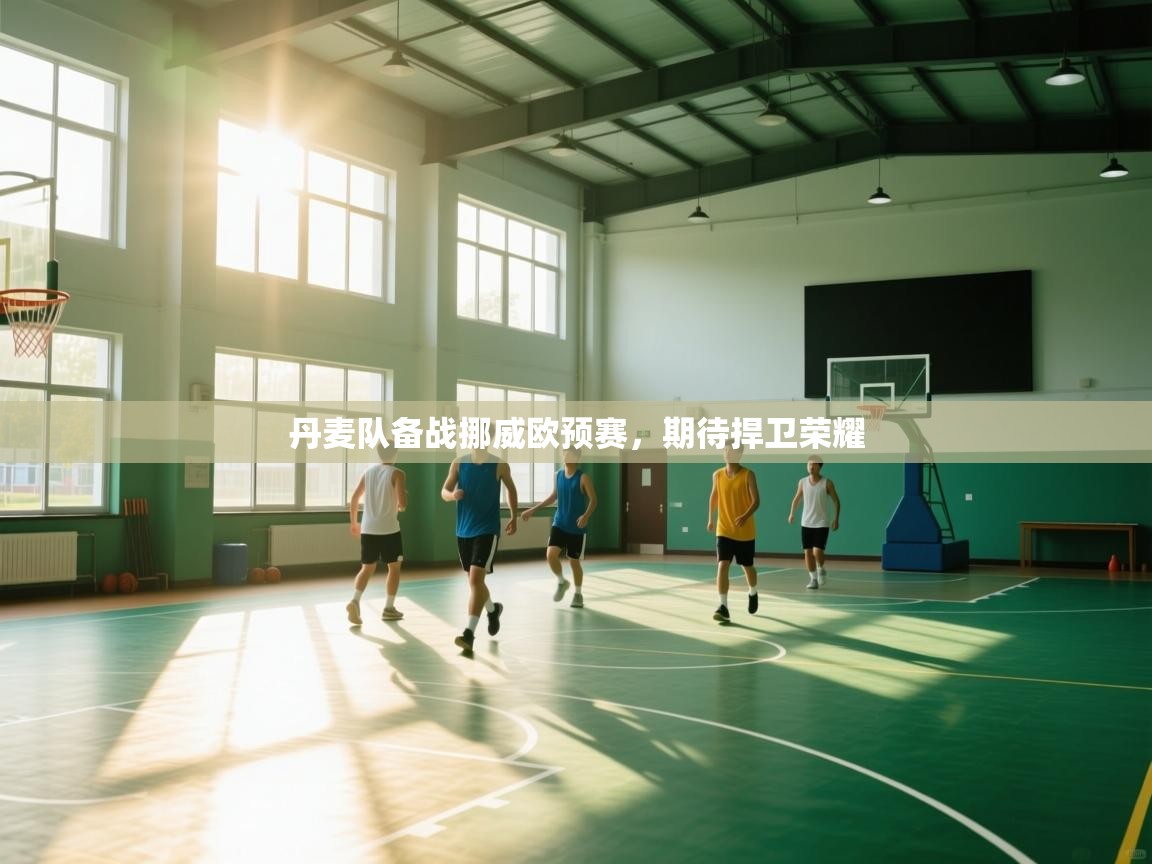 开云体育入口平台-丹麦队备战挪威欧预赛，期待捍卫荣耀  第4张