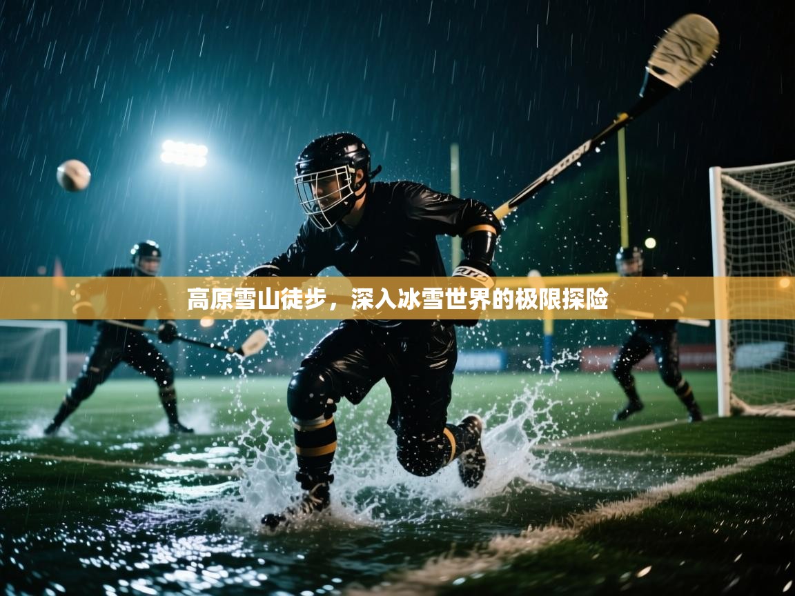 云开体育官网-高原雪山徒步，深入冰雪世界的极限探险  第3张